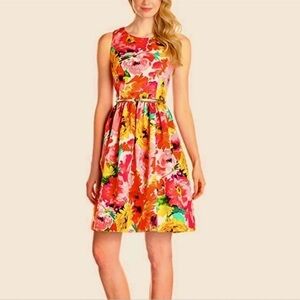 Eliza J Floral Print Fit and Flare Dress Knee Length Cutout Size 2 Spring Summer